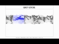 Grey goose vodka  website animation