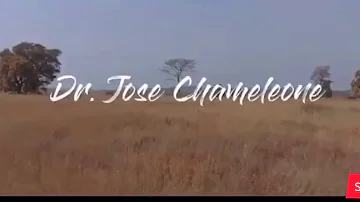 BALIWA - JOSE CHAMELEONE [OFFICIAL VIDEO] LOADING