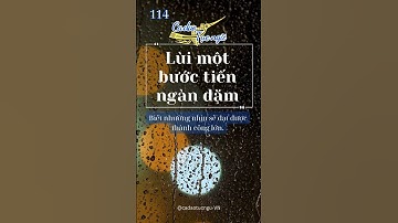 #114 🚶 Lùi Một Bước, Tiến Ngàn Dặm: Biết Nhường Nhịn Để Thành Công