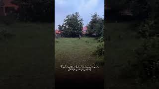 Аллах1 не даст своему рабу Себя забыть   horses  чечня  лошади  reels