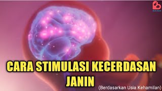 Cara Menstimulasi Kecerdasan Janin sesuai Usia Kehamilan