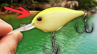 PRO Angler Spills CRANKBAIT Tricks That Won MILLIONS