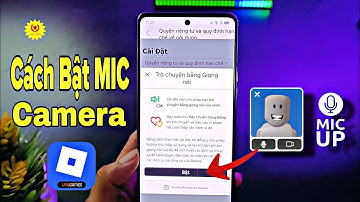 Cách bật voice chat Roblox VNG 2025 chuẩn nhất | Bật mic trong roblox vng mới nhất