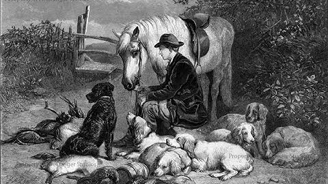 Zoom Pan Ken Burn* With Premiere Pro