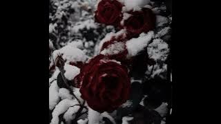 ari abdul - hush [slowed   reverb]