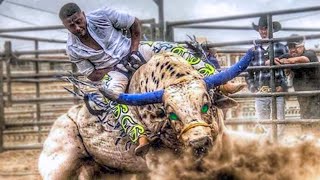 10 Most Dangerous Bulls of Rodeo History
