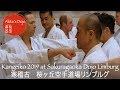 #1 Kangeiko Seminar 2019 at Sakuragaoka Dojo Limburg, Germany【Akita's Karate Video】