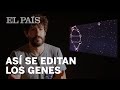 CRISPR: así se editan los genes | Materia
