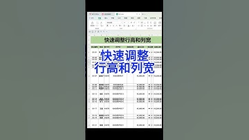 #excel 快速调整Excel表格行高和列宽！#办公技巧 #0基础学电脑 #办公软件 #学习