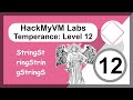 PrintPrintPrint! HackMyVM Labs - Temperance Levelx12