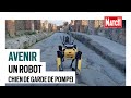 Un robot  quatre pattes le nouveau chien de garde de pompi