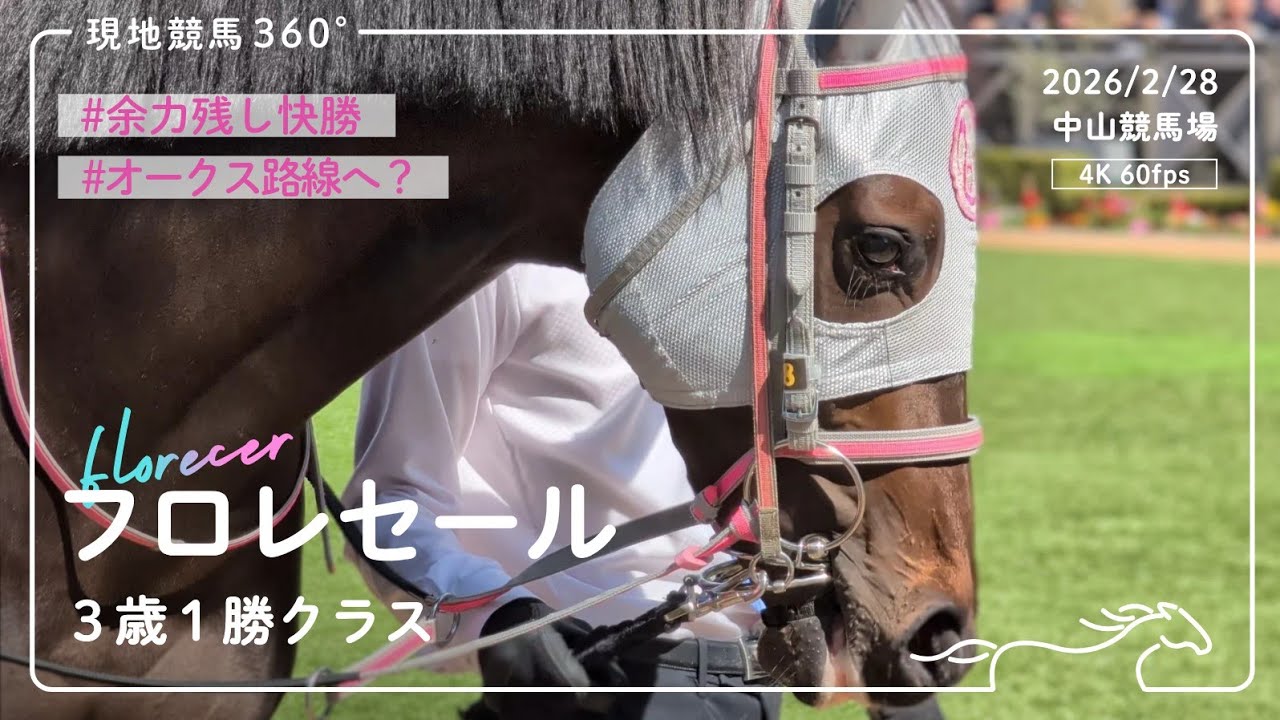 [ 余力残し快勝 ] フロレセール｜3歳1勝クラス パドック/レース｜2026/2/28 中山競馬場｜4K/60fps
