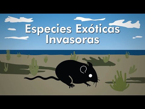 Video: ¿Cuáles son algunas especies invasoras en Carolina del Norte?