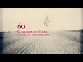 Odjeci generacija: 60 godina Glazbene tribine Hrvatskog društva skladatelja