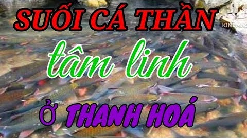Suối cá Thần Thanh Hoá