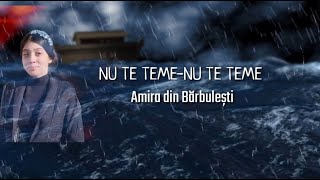 AMIRA DIN BARBULESTI - NU TE TEME NU TE TEME (COVER)