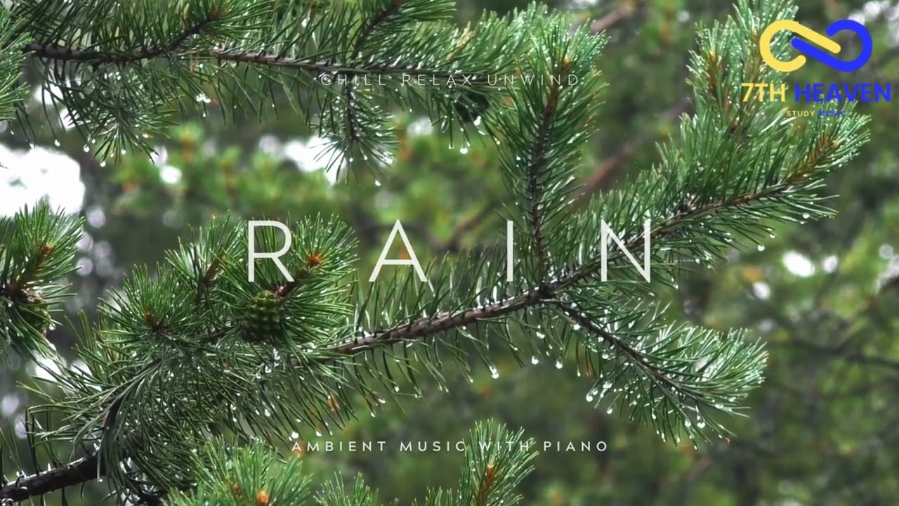 Rain Sounds Relaxing Music For Study, Focus, Unwind, Massage, Spa, Relief Anxiety, Meditation Zen