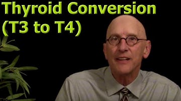 Thyroid T4 to T3 Conversion