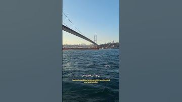 (وَءَاتَىٰكُم مِّن كُلِّ مَا سَأَلۡتُمُوهُۚ)  سورة ابراهيم #المنشاوي