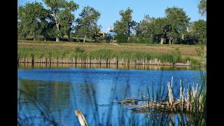 Enjoy the Marjorie Perry Nature Preserve