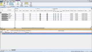 Orinox Formation - Aveva Engineering Tags Training Course