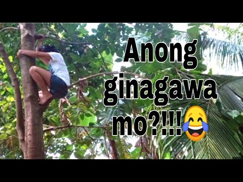 akyat santol ||Mhemee Vlog