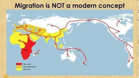 Migration ICSE Class 8 Geography