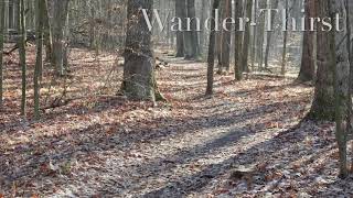 Wander-Thirst by Gerald Gould