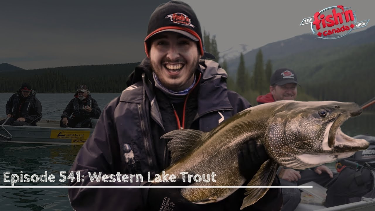 Western Lake Trout - YouTube