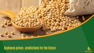 Soybeans prices – predictions for the future