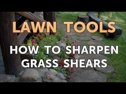 sharpening grass clippers