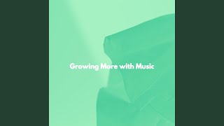 Vivacious Music for Solo Choices