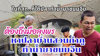 หาปลาบ้านสวนกำภู ทำน้ำยาขนมจีน#บ้านสวนกำภูEp1049