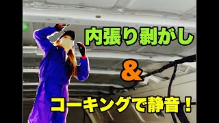 【ハイエースDIY】＃１　　初めての作業！内張りはがし　コーキングによる屋根の音の軽減！？【バンライフ】【自作キャンピングカー】【ＤＩＹ】