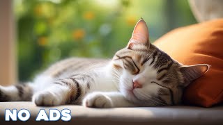 12 Hours Calming Music for Cats 🐈 Sleep Music for Cats No Ads ♬ Sleep Music for Anxious Cats by Healing Cat Music 9,132 views 8 days ago 12 hours