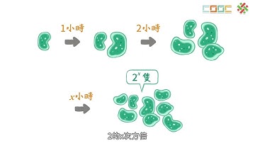 108新課綱｜高二數學｜【觀念】指數函數的定義與其圖形