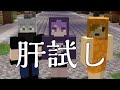ぺいんとしにがみクロノアで街ブラするよ~【マイクラ肝試し】