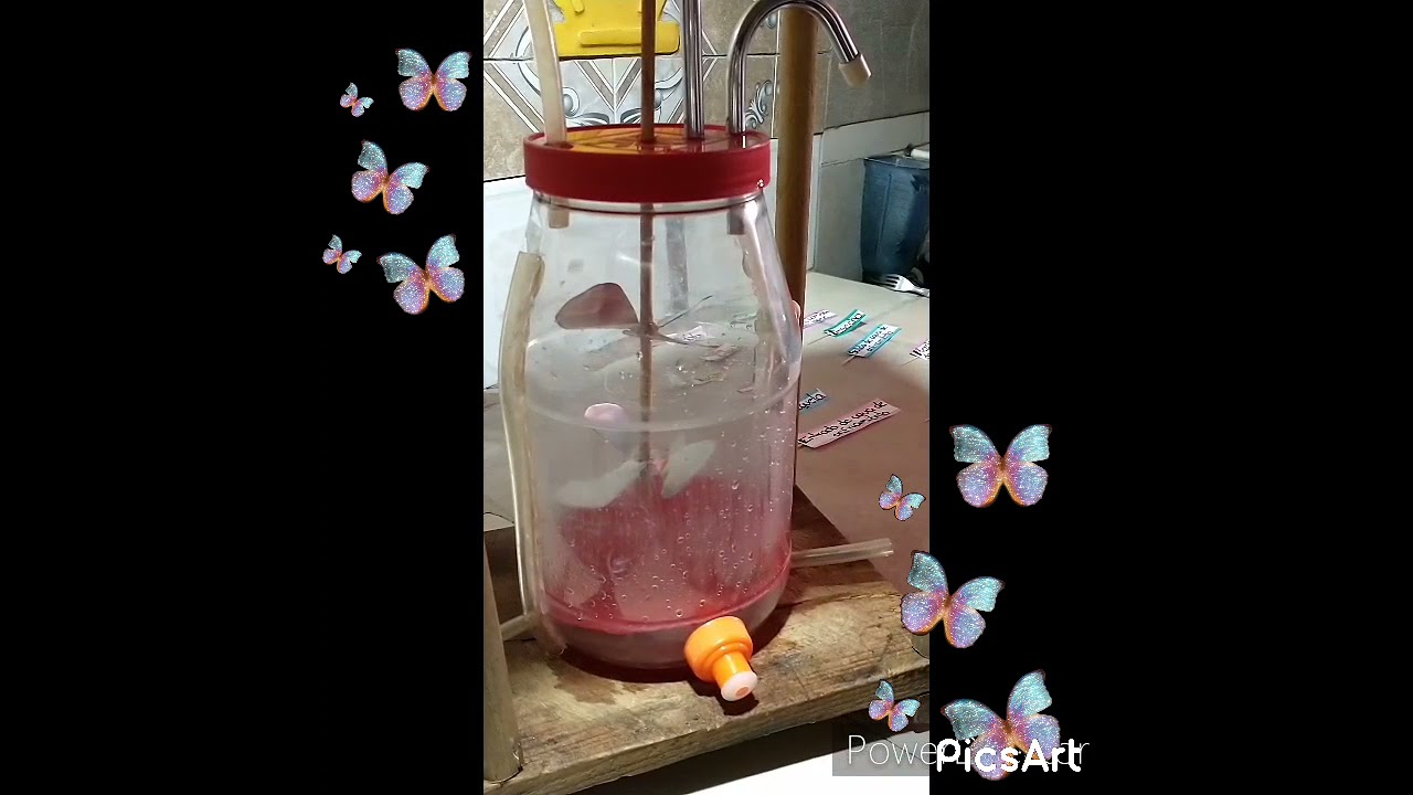 Diseño de un Bioreactor de Tanque Agitado