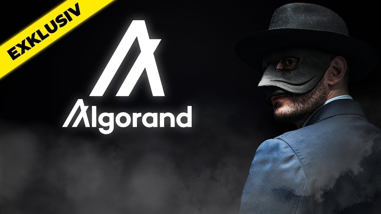 Algorand nach Korrektur - DIE Kauf Chance?