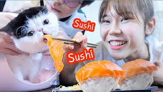 ทำอาหารให้แมวกินครั้งแรก! " Sushi salmon " (นุ่มลิ้น ละลายในปาก)