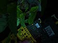 easy acid #digitakt #electronicmusic #synthesizer #acid #synth #behringer #beats #house