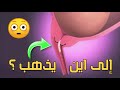 اين يذهب السائل المنوي في المرأه الحامل | وبماذا يشعر الجنين وقت الجماع