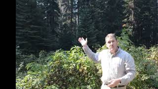Plant Identification: series introduction