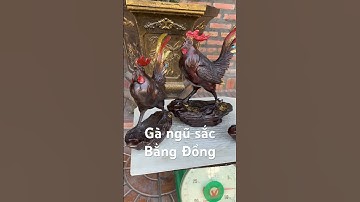 Gà ngũ sắc bằng đồng #đồcổcầnthơ #phongthuy #doco #đồcổ