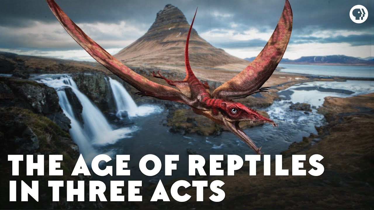 ⁣The Age of Reptiles in Three Acts