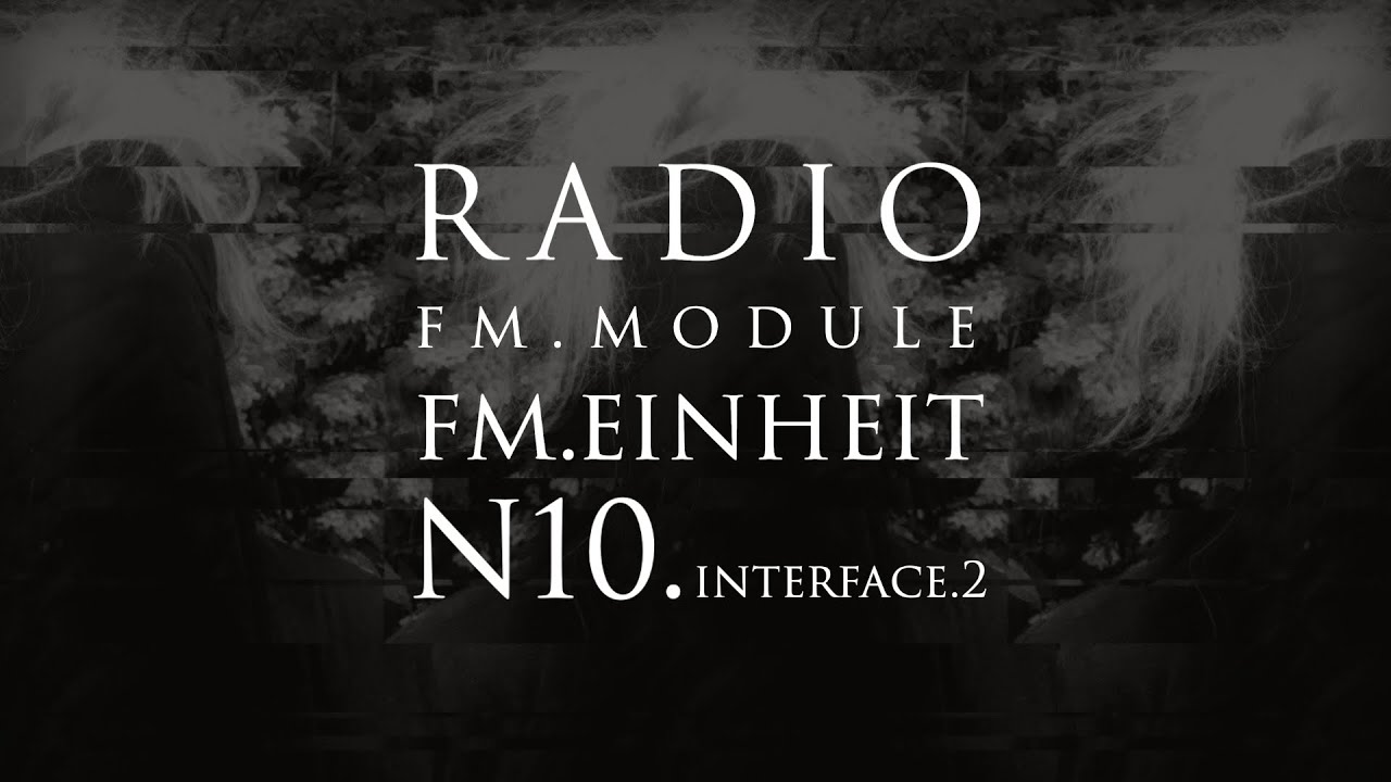 FM Module #10. Schnittstelle — Interface 2