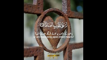 📖✨ أفلا يتدبرون القرآن أم على قلوب أقفالها⁉️ سورة محمد: ٢٤|المنشاوي|Surah Mohammed:24|Al Minshawi
