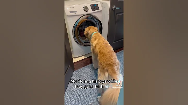 Watching his toys