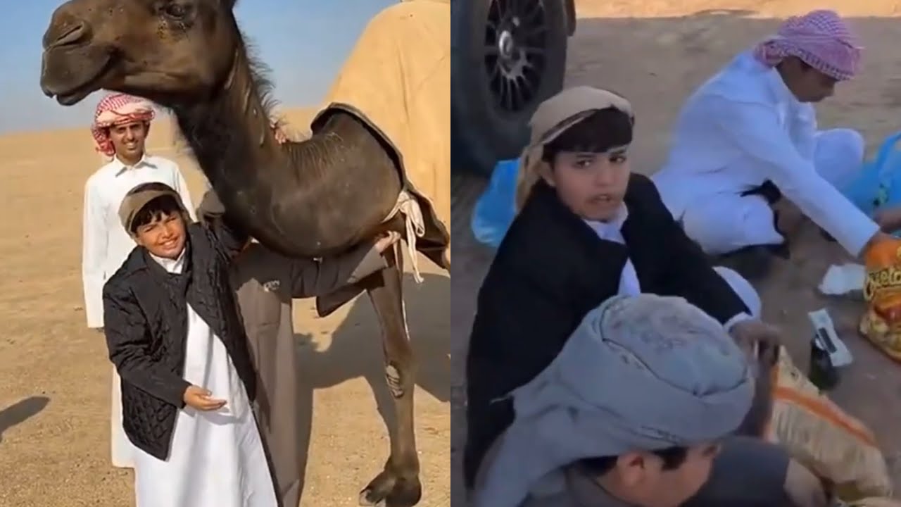 سنابات كشتة البر والابل هجمت على الشباب 😂😂 #فراج_قزيع_السهلي سنابات فراج قزيع السهلي