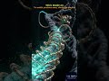 How 2050 Healthcare Technology will Pause the Aging Clock? #shorts